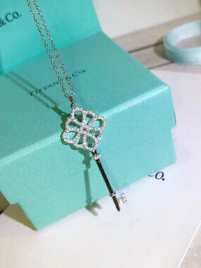 Tiffany & Co. necklace